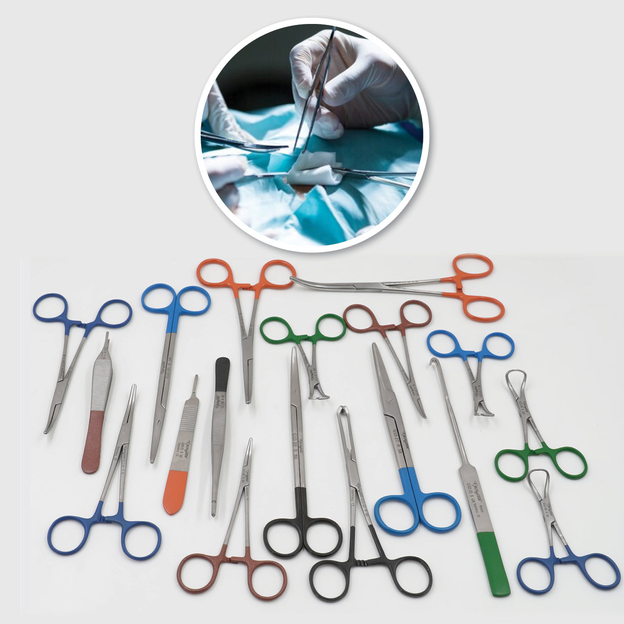 Canine and Feline Spay Pack - Blue Ring, Shinny with Free Lifetime Sharpening